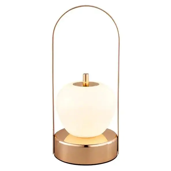 Купить оптом Ночник сенсорный аккумуляторный Шар с ручкой SP1 в Украине , изображение 2