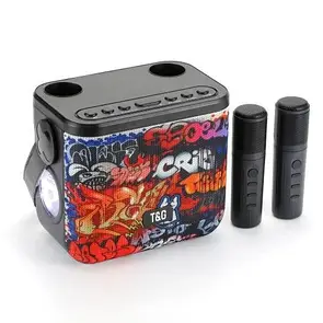 Купить оптом Портативная колонка 2 микрофона bluetooth TG-545DK-G (GRAFFITI)