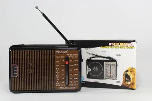 Купить оптом Радиоприемник ФМ FM от сети GOLON RX-A608